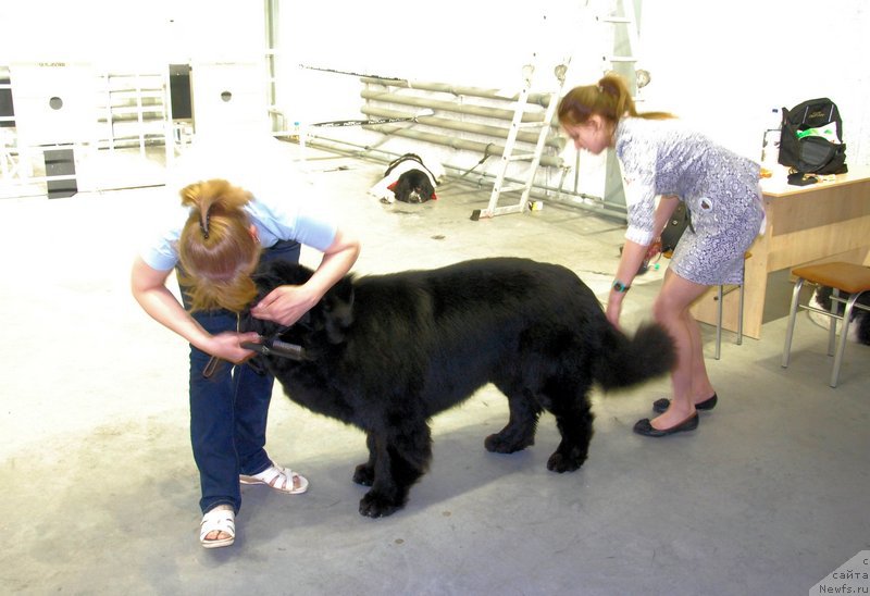 Фотография № 152877