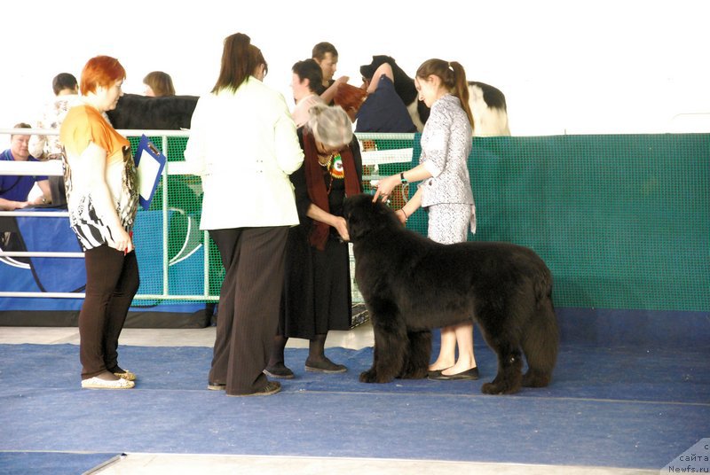 Фотография № 152879