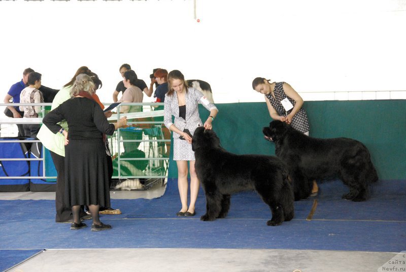 Фотография № 152880