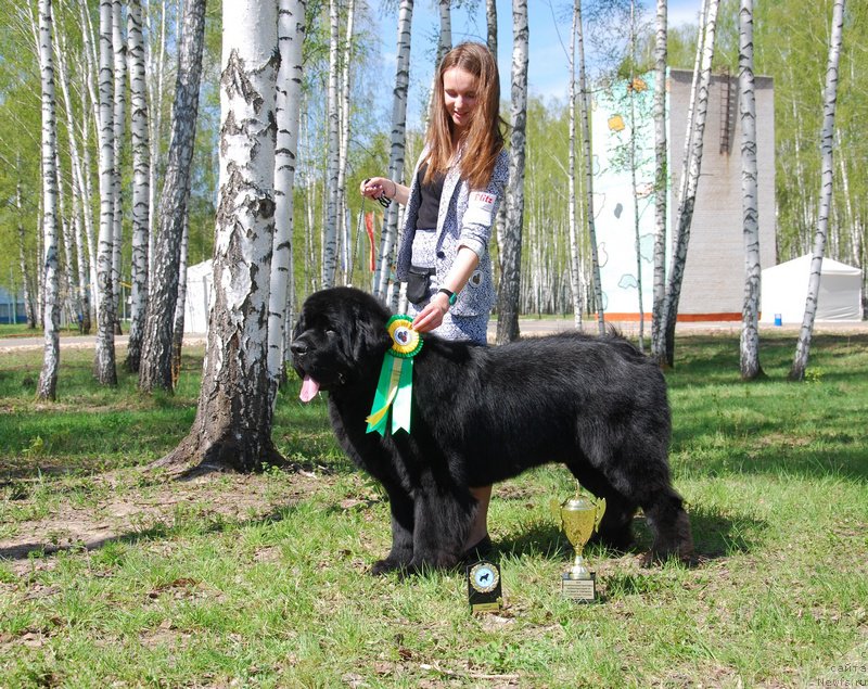 Фотография № 152883