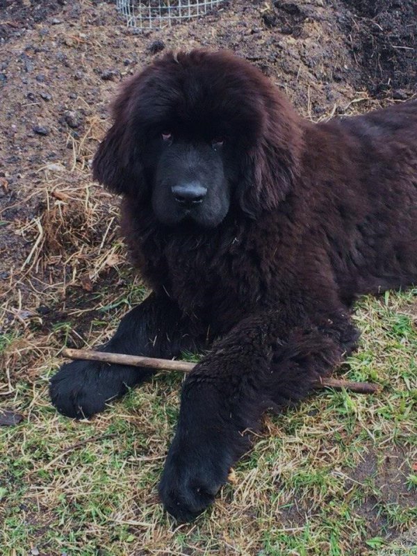 Фотография № 152891