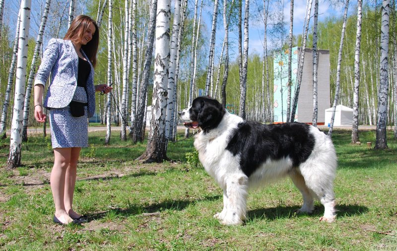 Фотография № 152899