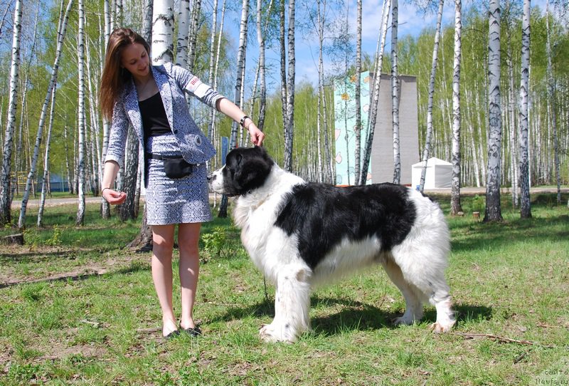 Фотография № 152900