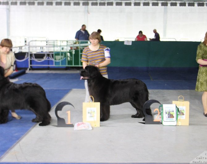 Фотография № 152904