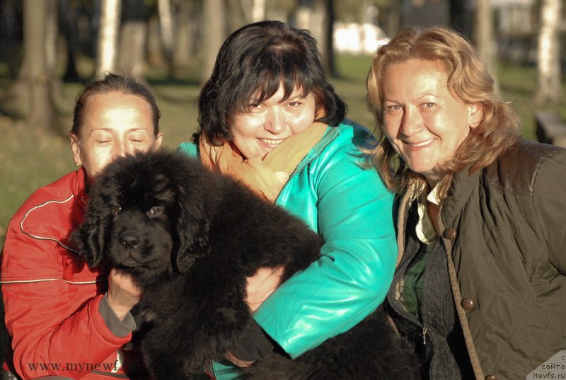 Фото: ньюфаундленд Mukwa Seabrook Nightflight For Sent Djons, Antonina CHigvinceva (Антонина Чигвинцева), Varvara Ryibalova (Варвара Рыбалова), Юлия Паронина