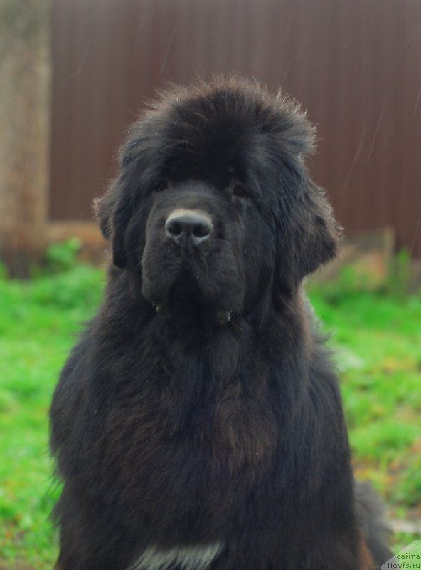 Фотография № 152967