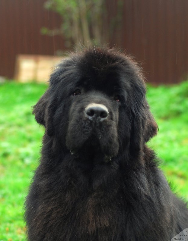 Фотография № 152969