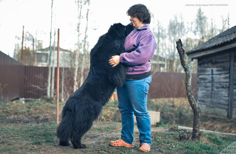 Фотография № 152970