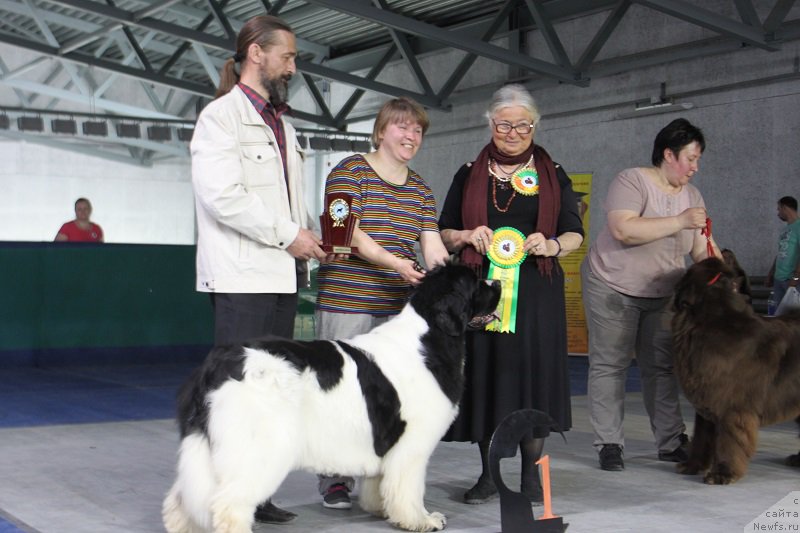 Фотография № 152977