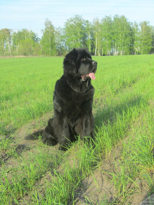 Фотография № 153000