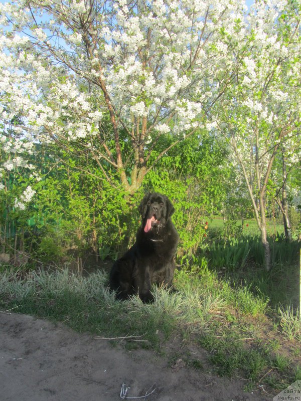 Фотография № 153002