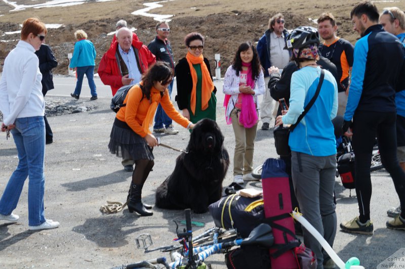 Фотография № 153025