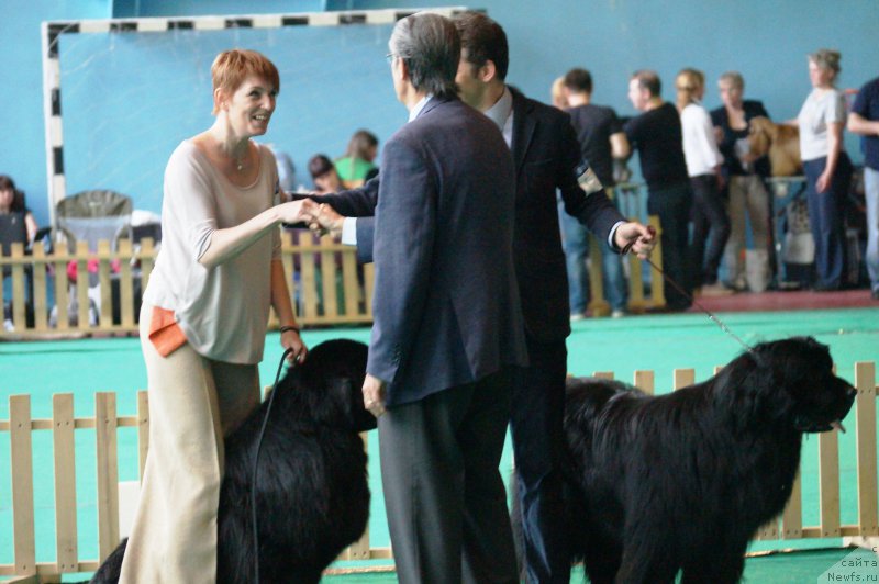 Фото: Elena Kirpa (Елена Кирпа), ньюфаундленд Charuyuschiy Chezario (Чарующий Чезарио), ньюфаундленд Lusky Story Midnight Bear