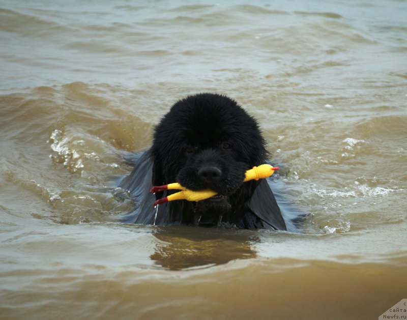 Фотография № 153033