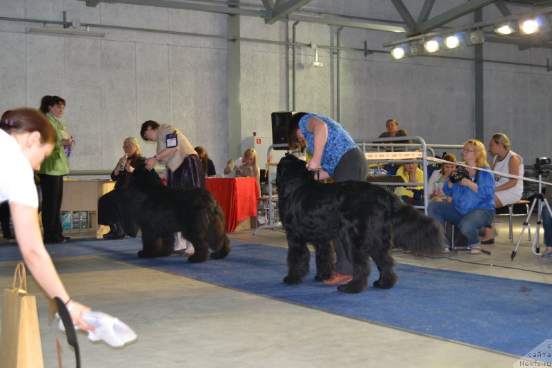 Фотография № 153038