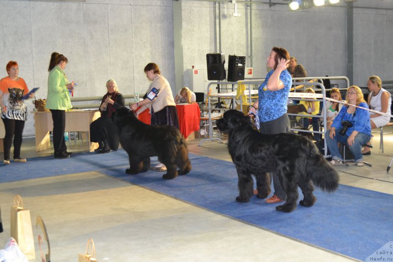 Фотография № 153039