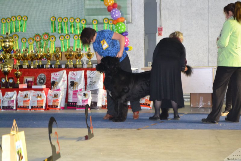 Фотография № 153040