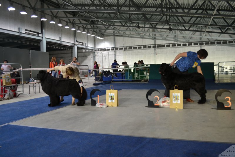 Фотография № 153041