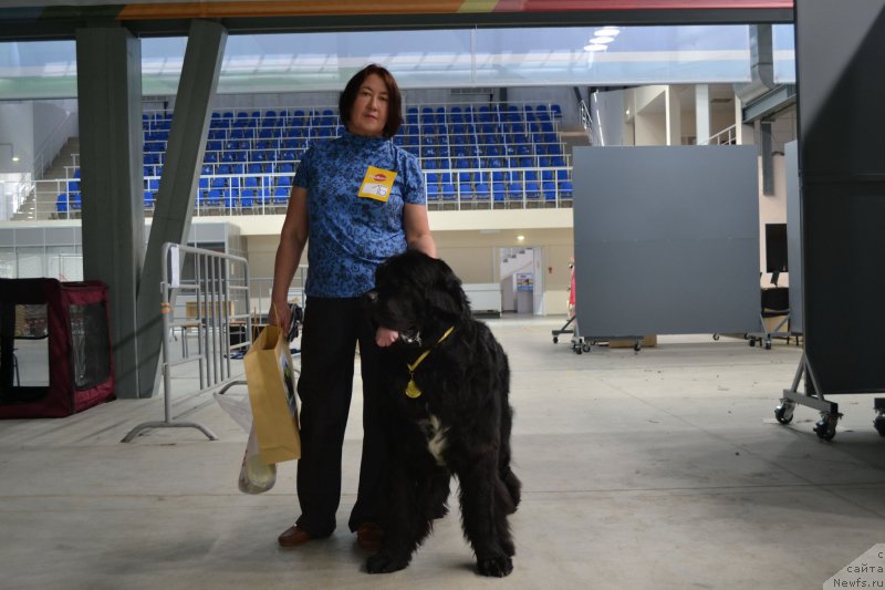 Фотография № 153042