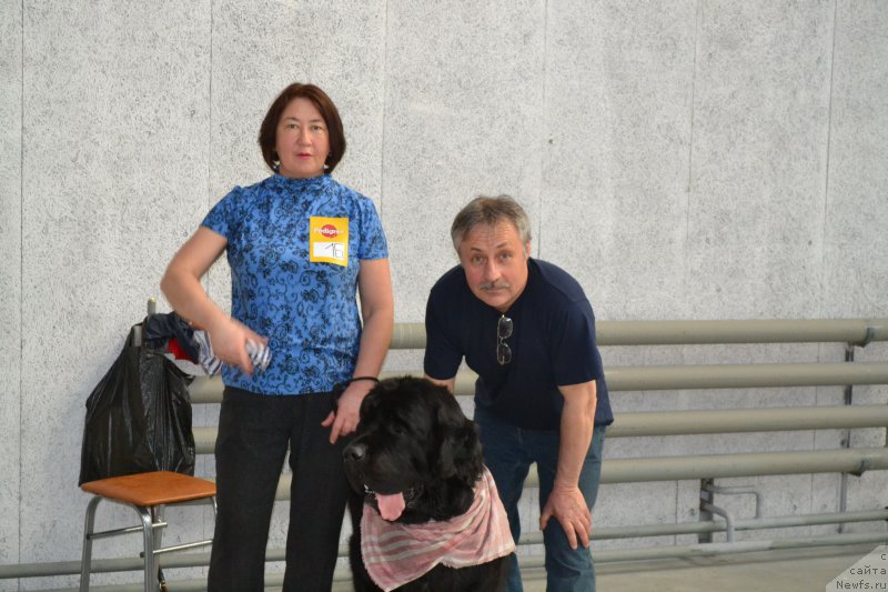 Фотография № 153046