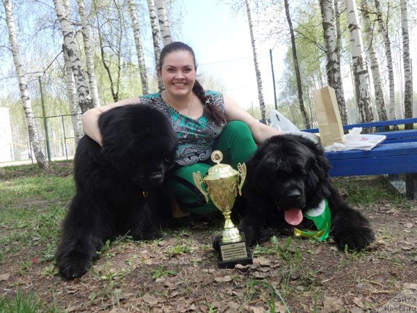 Фото: ньюфаундленд Njufort Natali (Ньюфорт Натали), Ekaterina Jironkina (Екатерина Жиронкина), ньюфаундленд N'yufort Carica Nochi (Ньюфорт Царица Ночи)