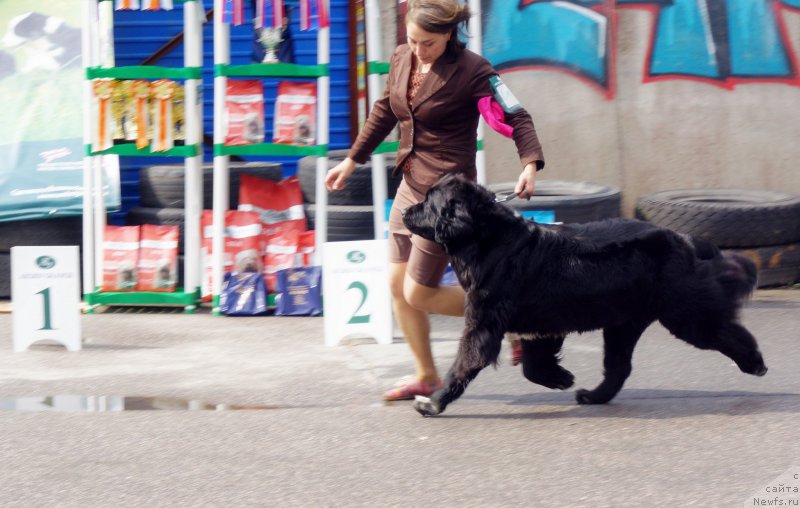 Фотография № 153155