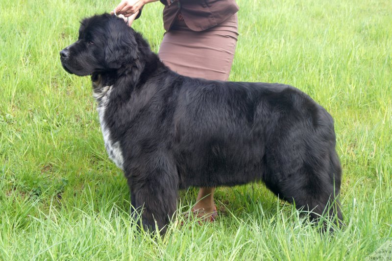 Фотография № 153157