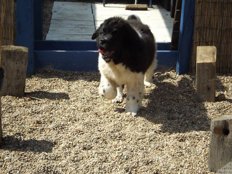 Фотография № 153163