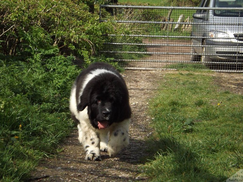 Фотография № 153165