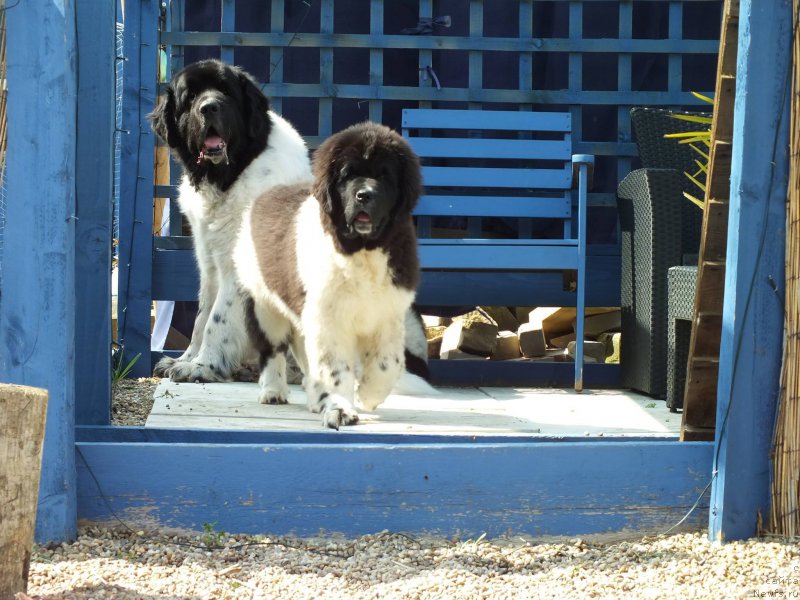 Фотография № 153166