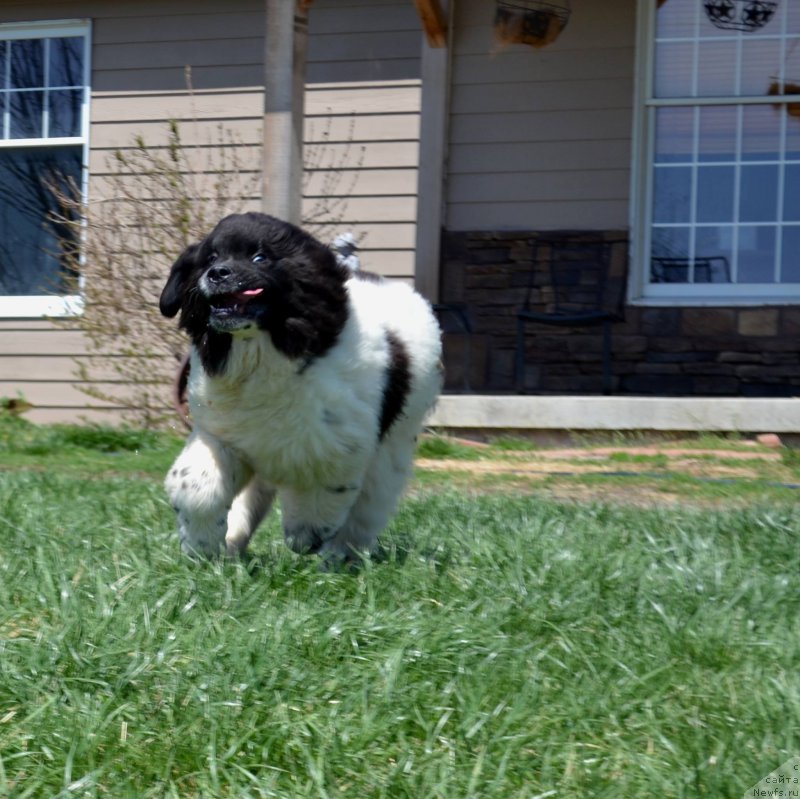 Фотография № 153173