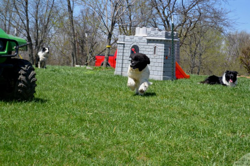 Фотография № 153177