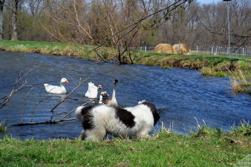 Фотография № 153178