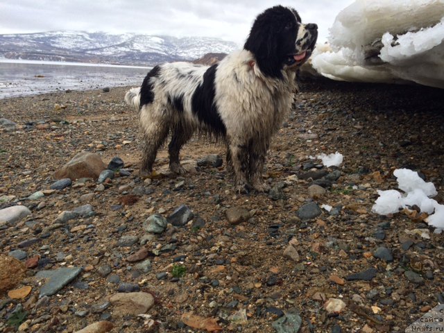 Фотография № 153179