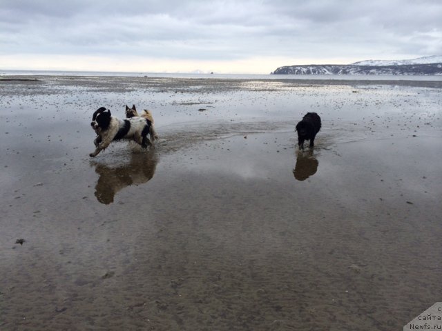 Фотография № 153180