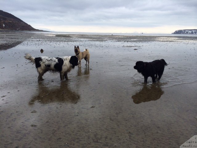 Фотография № 153181