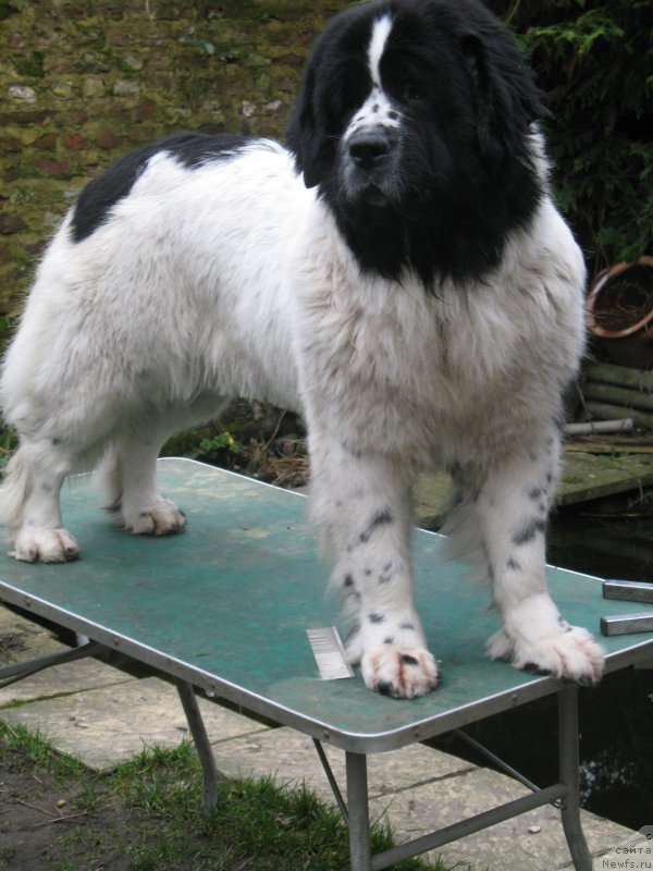 Фотография № 153183