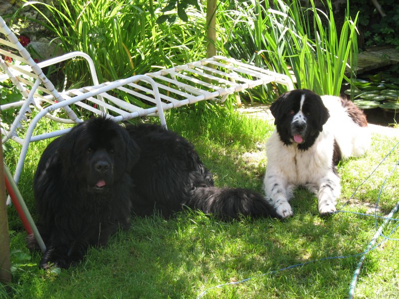 Фотография № 153186