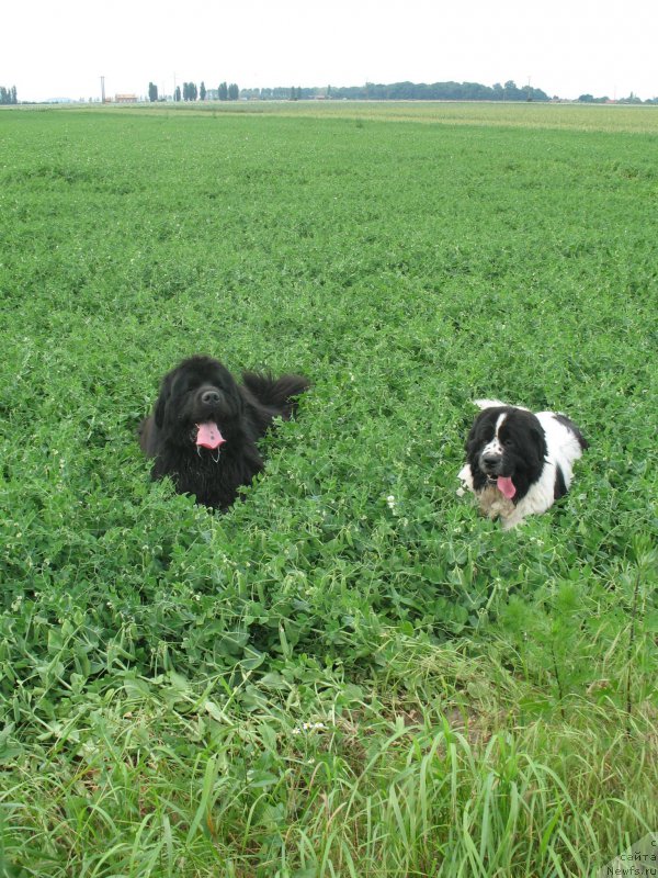 Фотография № 153188