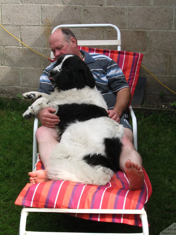 Фотография № 153189