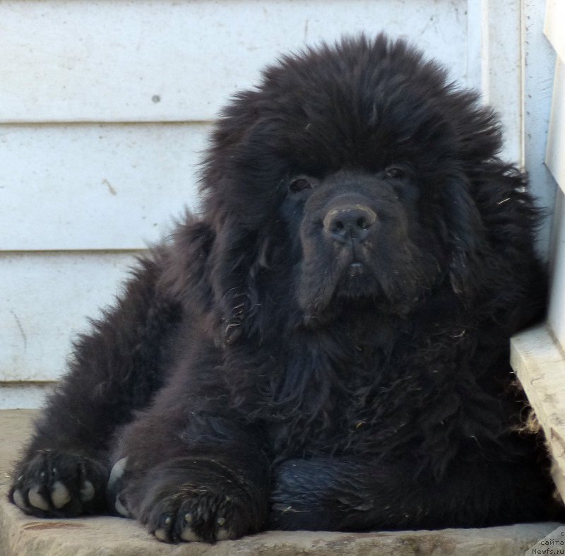 Фотография № 153191