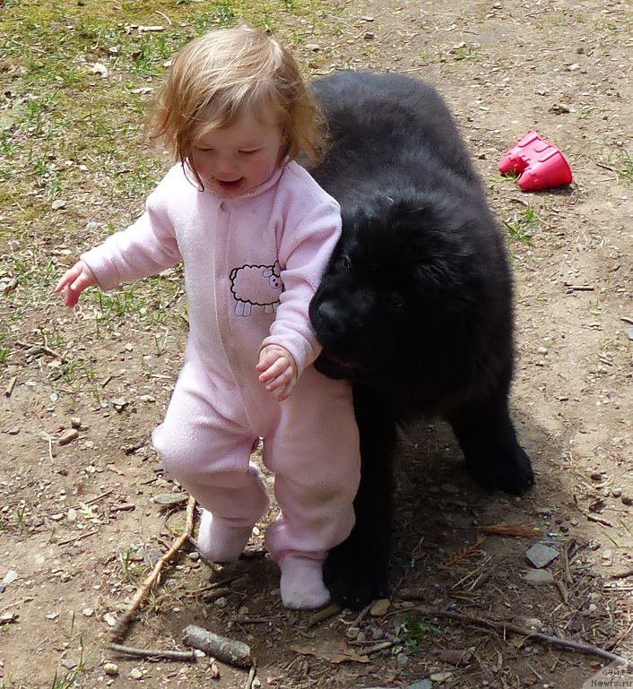 Фотография № 153195