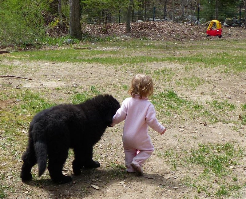 Фотография № 153196