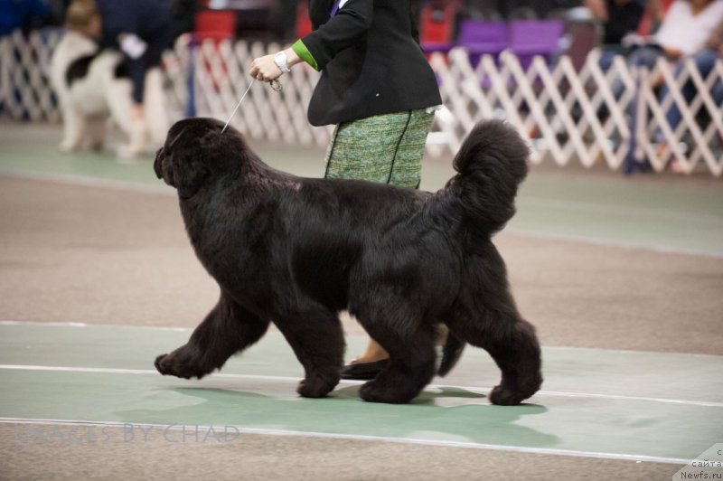 Фотография № 153204