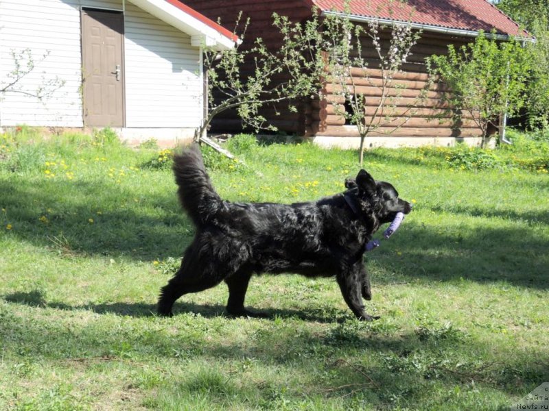 Фотография № 153237