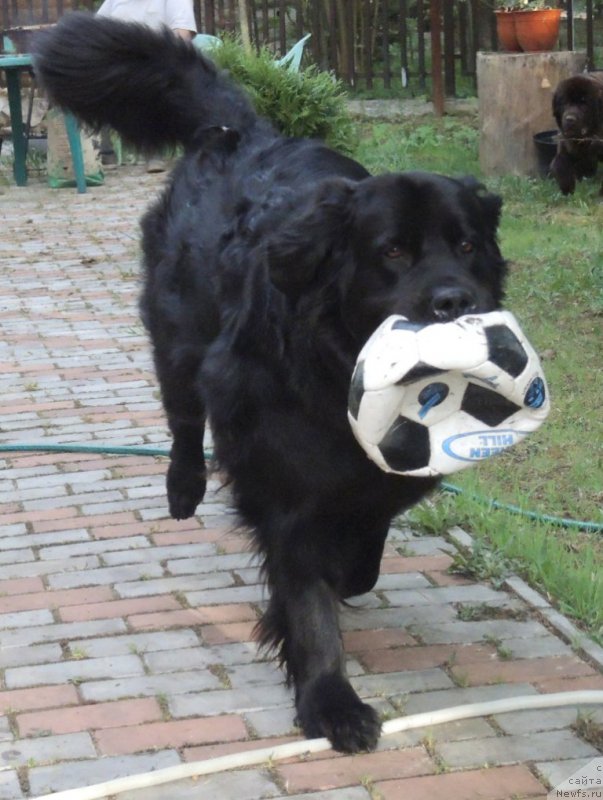 Фотография № 153242