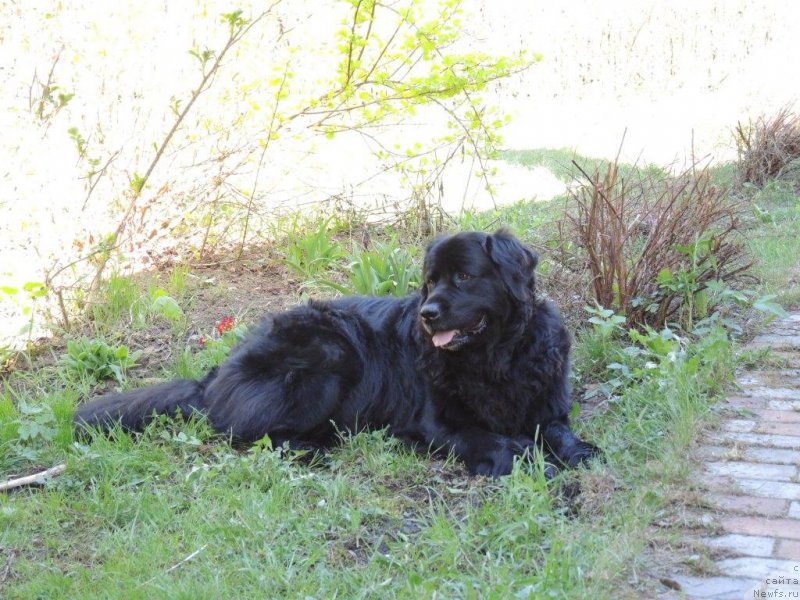 Фотография № 153243