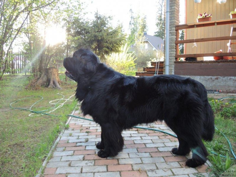 Фотография № 153244