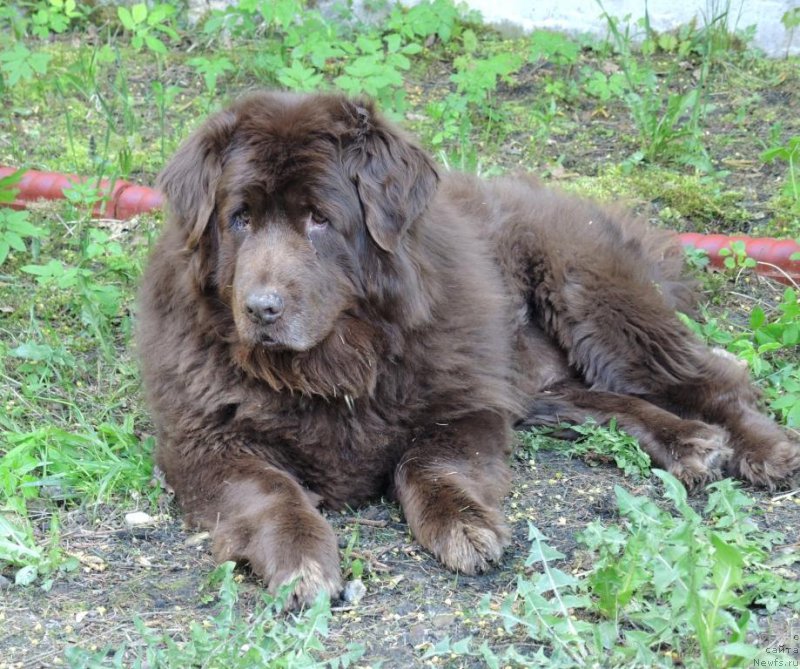 Фотография № 153247