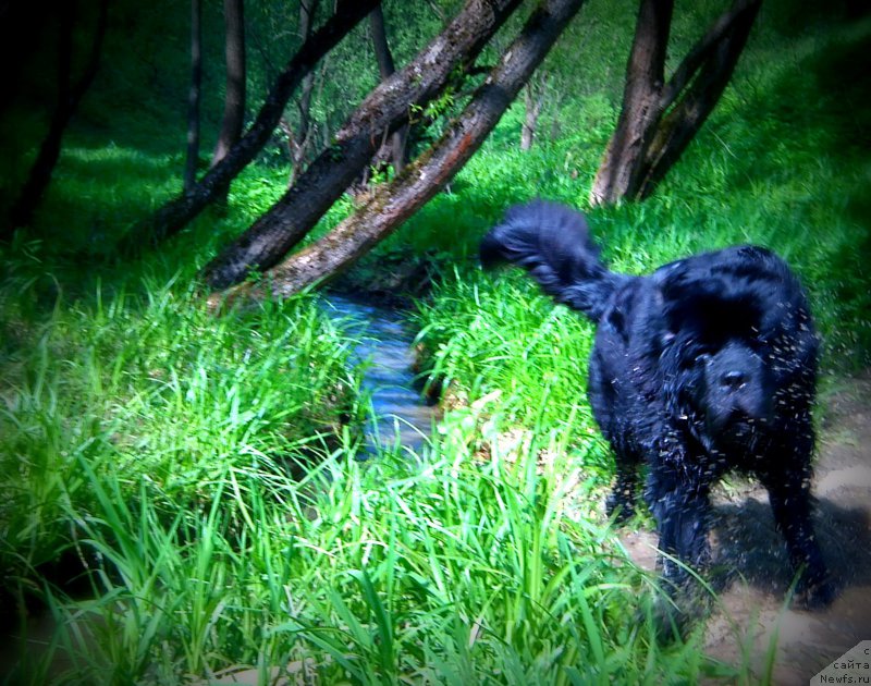 Фотография № 153322